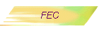 FEC